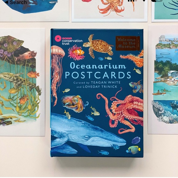 Other - NEW Oceanarium Postcards by Teagan White and Loveday Trinick - Multicolor RARE
